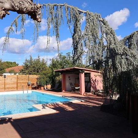 El Cedre Blau Vivienda Con Piscina En Granollers Villa Екстериор снимка